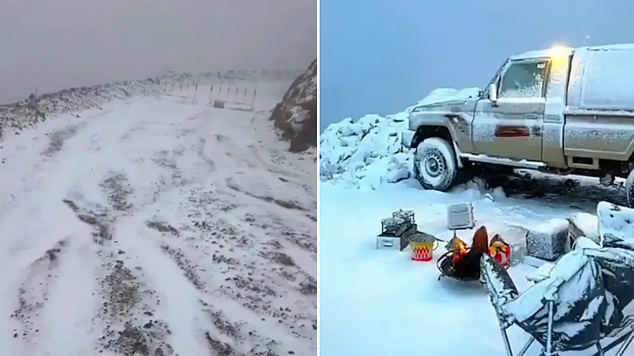 সৌদি আরবে বিরল তুষারপাত, উৎসবে মেতেছে মানুষ